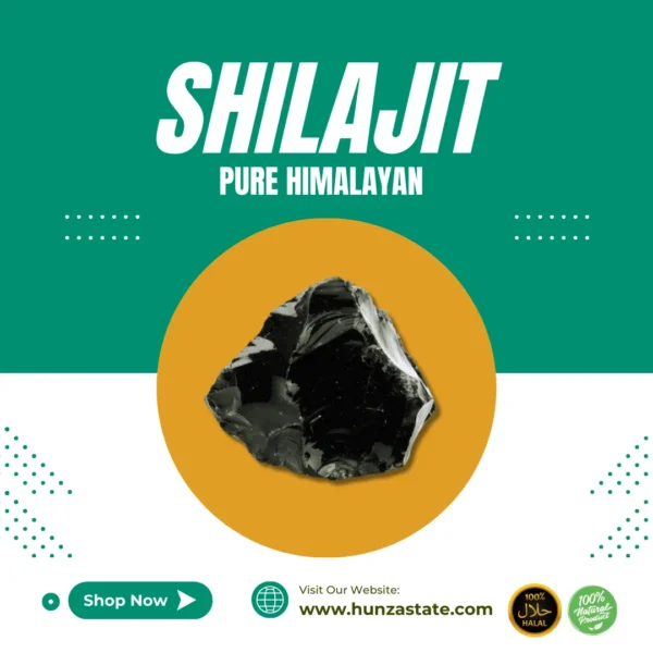 Pure Himalayan Shilajit Resin - Authentic & Potent