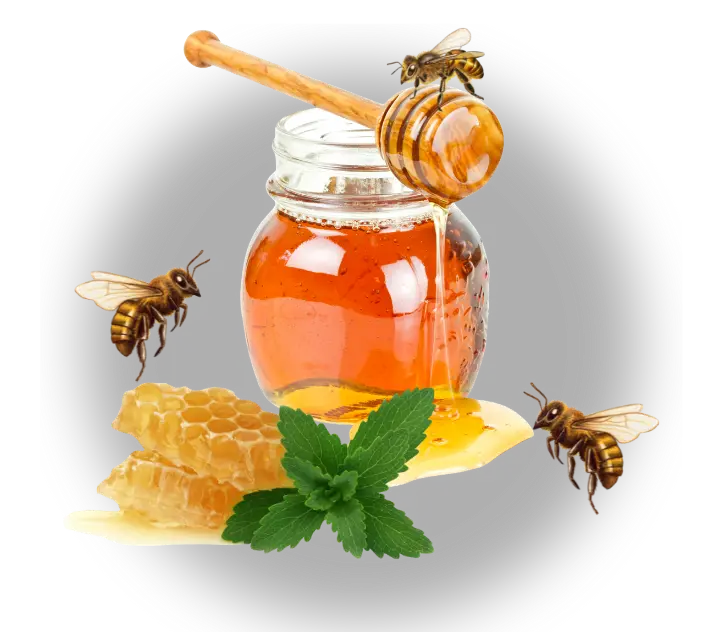 small bee honey with honey combs