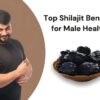 Is Shilajit Safe Exploring Its Side Effects and Precautions