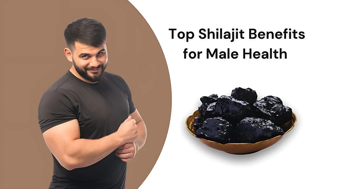 Is Shilajit Safe Exploring Its Side Effects and Precautions