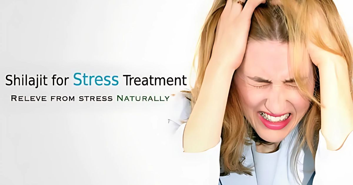 Shilajit Benefits for Stress Relief How It Works