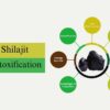Shilajit Detoxification The Role of Shilajit in Cleansing the Body
