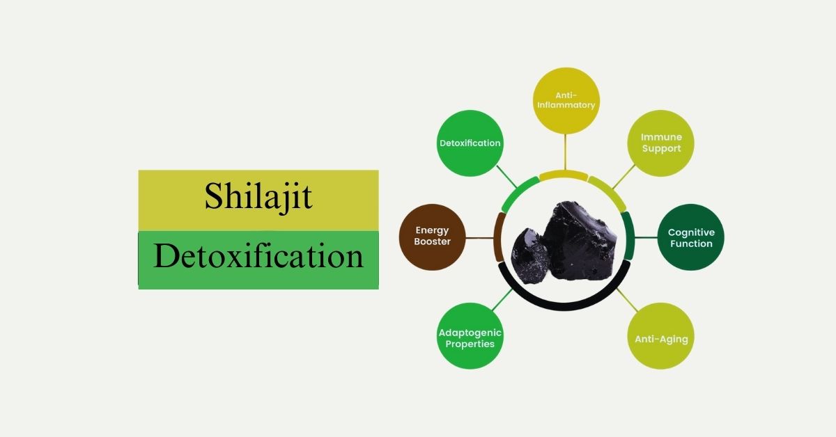 Shilajit Detoxification The Role of Shilajit in Cleansing the Body