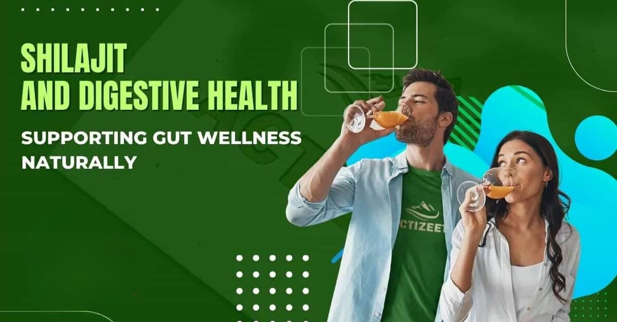 Shilajit Digestive Benefits How Shilajit Supports Healthy Digestion