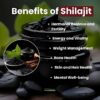 Shilajit energy benefits