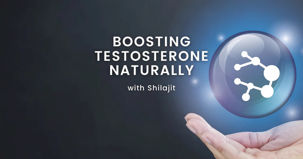 Shilajit for Testosterone The Role of Shilajit in Boosting Testosterone Levels