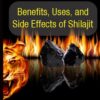 Shilajit health benefits