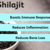 Shilajit immune support.