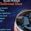 The Historical Use of Shilajit in Traditional Medicine
