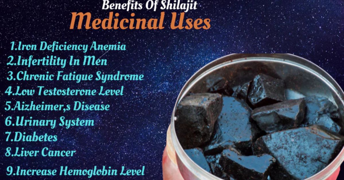 The Historical Use of Shilajit in Traditional Medicine