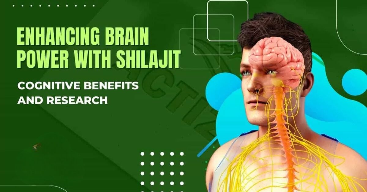 shilajit cognitive benefits